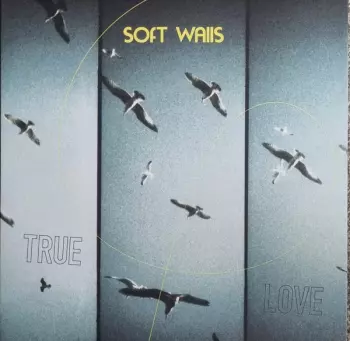 The Soft Walls: True Love