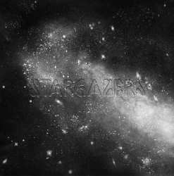 Album The Stargazers: The Stargazers