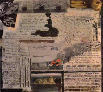 CD The Stevens: A History Of Hygiene 