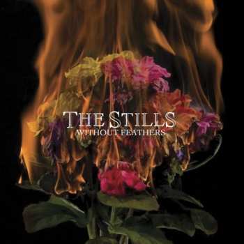 Album The Stills: Without Feathers