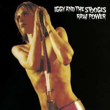 CD The Stooges: Raw Power