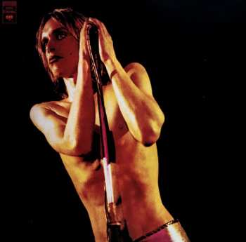 2LP The Stooges: Raw Power