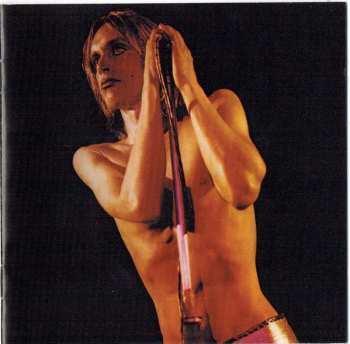 CD The Stooges: Raw Power