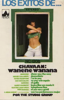 The Studio Group: Los Exitos De...