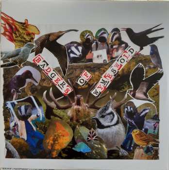 2LP The Surfing Magazines: Badgers Of Wymeswold CLR | LTD