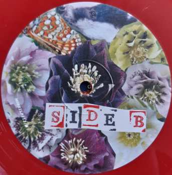 2LP The Surfing Magazines: Badgers Of Wymeswold CLR | LTD