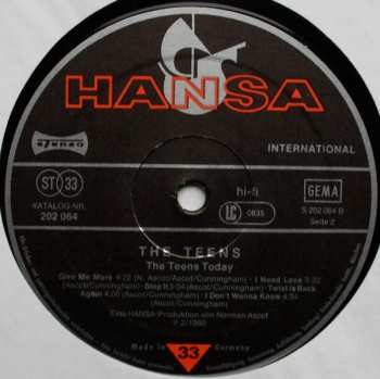 LP The Teens: The Teens Today