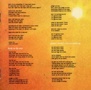 CD The Thermals: The Body The Blood The Machine