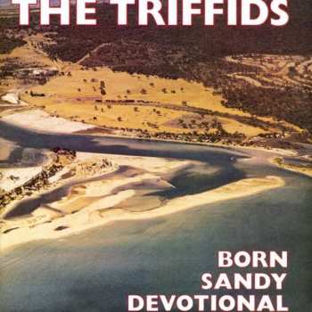 CD The Triffids: Born Sandy Devotional