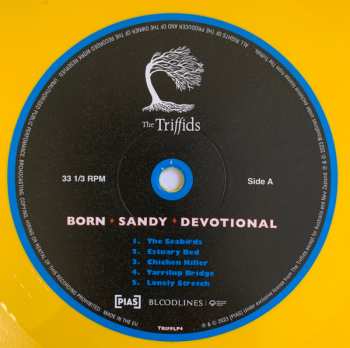 LP The Triffids: Born Sandy Devotional CLR | LTD
