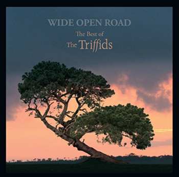 CD The Triffids: Wide Open Road (The Best Of The Triffids)