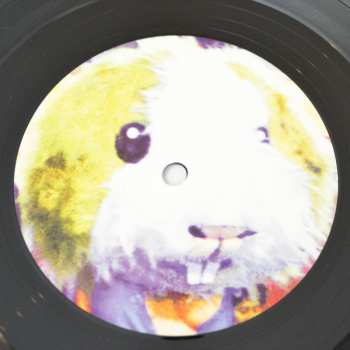 LP Vagoos: The Vagoos