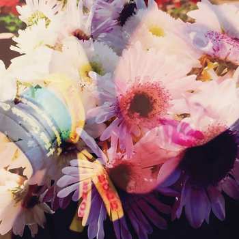 LP The Veldt: Illuminated 1989