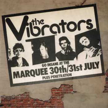 4CD/Coffret The Vibrators: The Epic Years 1976-1978