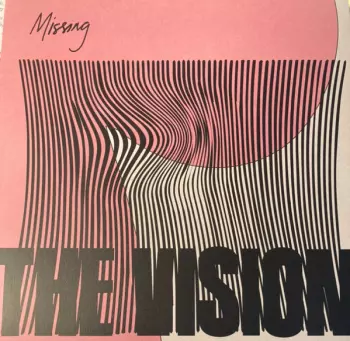 The Vision: Missing