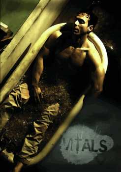 Album The Vitals: Vitals