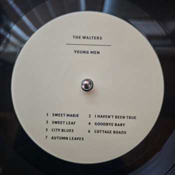 LP The Walters: Songs For Dads / Young Men