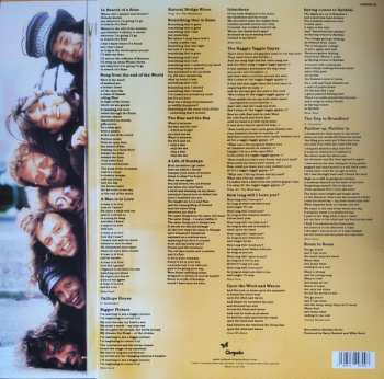 2LP The Waterboys: Room To Roam