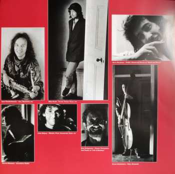 2LP The Waterboys: Room To Roam