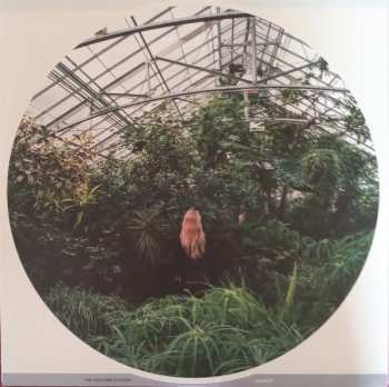 LP The Weather Station: Loyalty