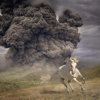 LP The White Buffalo: Year of the Dark Horse