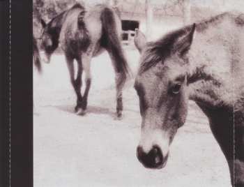 CD The White Stripes: Icky Thump