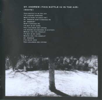 CD The White Stripes: Icky Thump