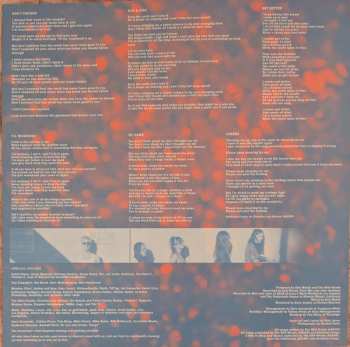 LP The Wild Reeds: Cheers