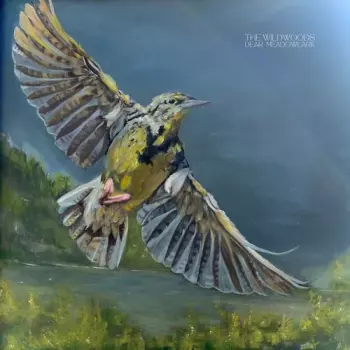 The Wildwoods: Dear Meadowlark