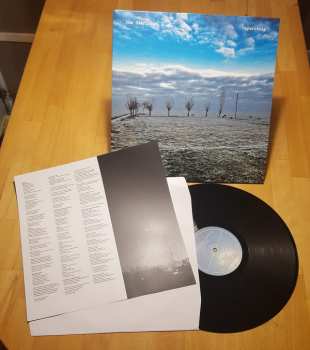 LP The Yearlings: Skywriting