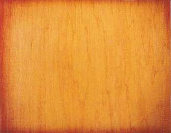 LP The Zutons: Tired Of Hanging Around