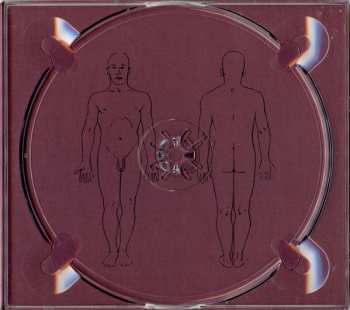 CD This Cold Night: An Enigmatic Individual DIGI