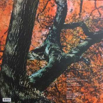 LP Tift Merritt: Stitch Of The World