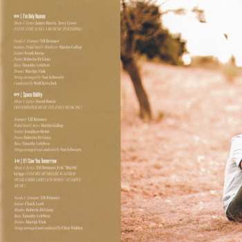 CD Till Brönner: At The End Of The Day