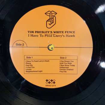2LP White Fence: I Have To Feed Larry's Hawk