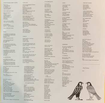 2LP White Fence: I Have To Feed Larry's Hawk