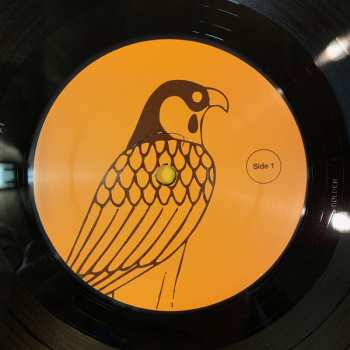 2LP White Fence: I Have To Feed Larry's Hawk