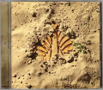 CD Tokyo Jihen: 大発見