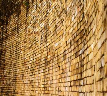 Album Tomas Phillips: Prosa