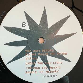 LP Tommy Guerrero: Amber Of Memory