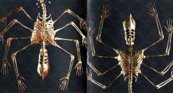 2CD Tool: Fear Inoculum LTD | DIGI