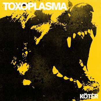 CD Toxoplasma: Köter LTD