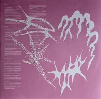 LP trashi: Me Acuerdo De Todo CLR