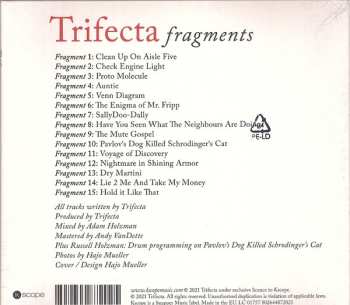 2CD Trifecta: Fragments + The New Normal