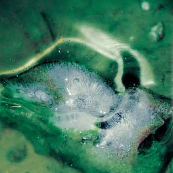 Album Tristan Arp: A Pool, A Portal