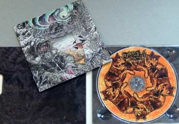 CD Turbid North: Orogeny