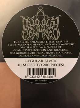 LP Turris Eburnea: Turris Eburnea LTD