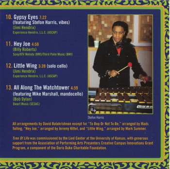 CD Turtle Island String Quartet: Have You Ever Been ...?: The Music Of Jimi Hendrix & The Music Of David Balakrishnan
