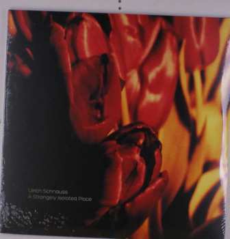 Album Ulrich Schnauss: A Strangely Isolated Place