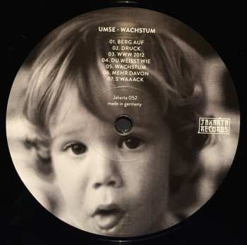 LP Umse: Wachstum